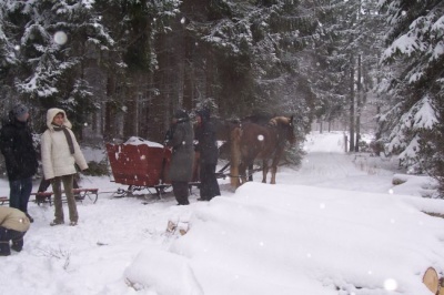 Stajnia Hajduki - zaprasza na kuligi na Kaszubach