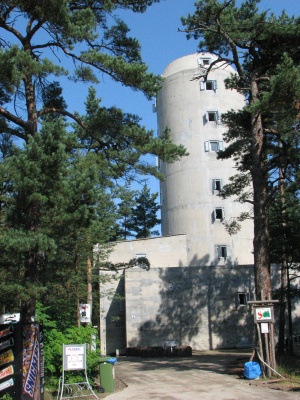 Wie�a kierowania ogniem