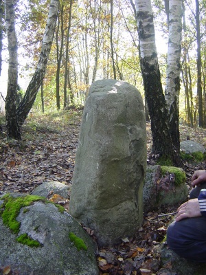 fot. K. Leman