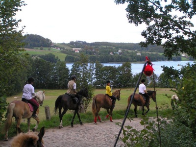 fot. Stajnia Pod Klonem