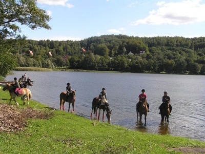 fot. Stajnia Pod Klonem