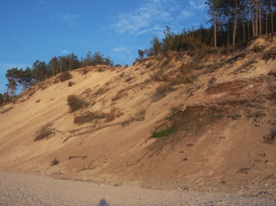 fot. J. Dziurkowski
