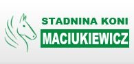 Stadnina Koni Maciukiewicz Nowęcin - zaprasza na ski skiring Stadnina Koni Maciukiewicz Nowęcin - zaprasza na ski skiring
