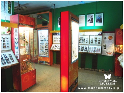 Muzeum Motyli w �ebie - fot. zbiory Muzeum