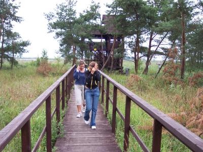 Doj�cie do platformy widokowej - fot. J. Dziurkowski