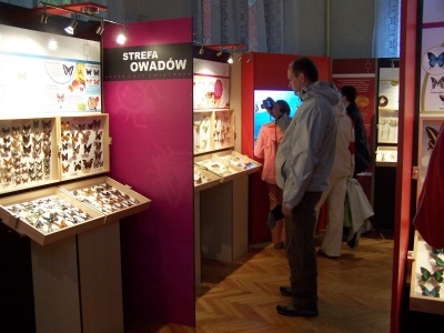 Muzeum motyli -  �eba - fot. Tomasz Falkiewicz