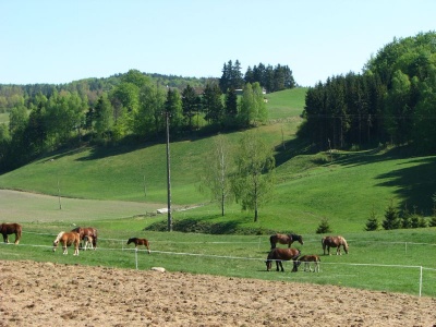 Okolice Szymbarka i Wie�ycy - w pobli�u wyci�gu narciarskiego