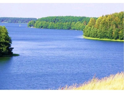Wakacje w Borach Tucholskich 2012