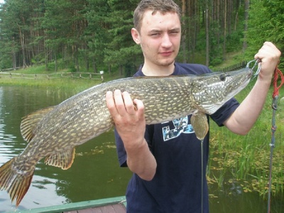 �owisko Niesio�owice