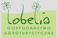 Zapraszamy do Lobelii! Zapraszamy do Lobelii!