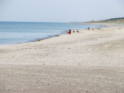 Szeroka pla�a nad morzem w Rowach