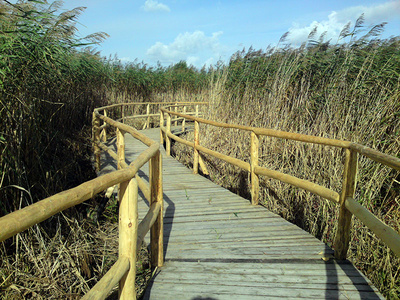 �cie�ka w �eba Park - parku dinozaur&oacute;w nad morzem