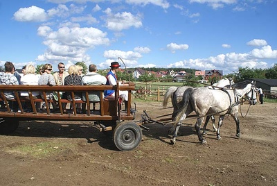 Agroturystyka Rychert zaprasza na wozy drabiniaste! Agroturystyka Rychert zaprasza na wozy drabiniaste!